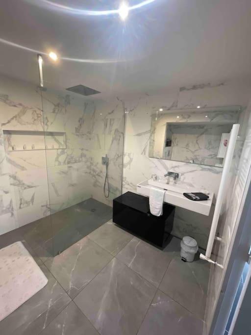 Grand Appartement Avec Vue Magnifique - Vercors - Une Experience Unique - Wifi Gratuit グルノーブル エクステリア 写真